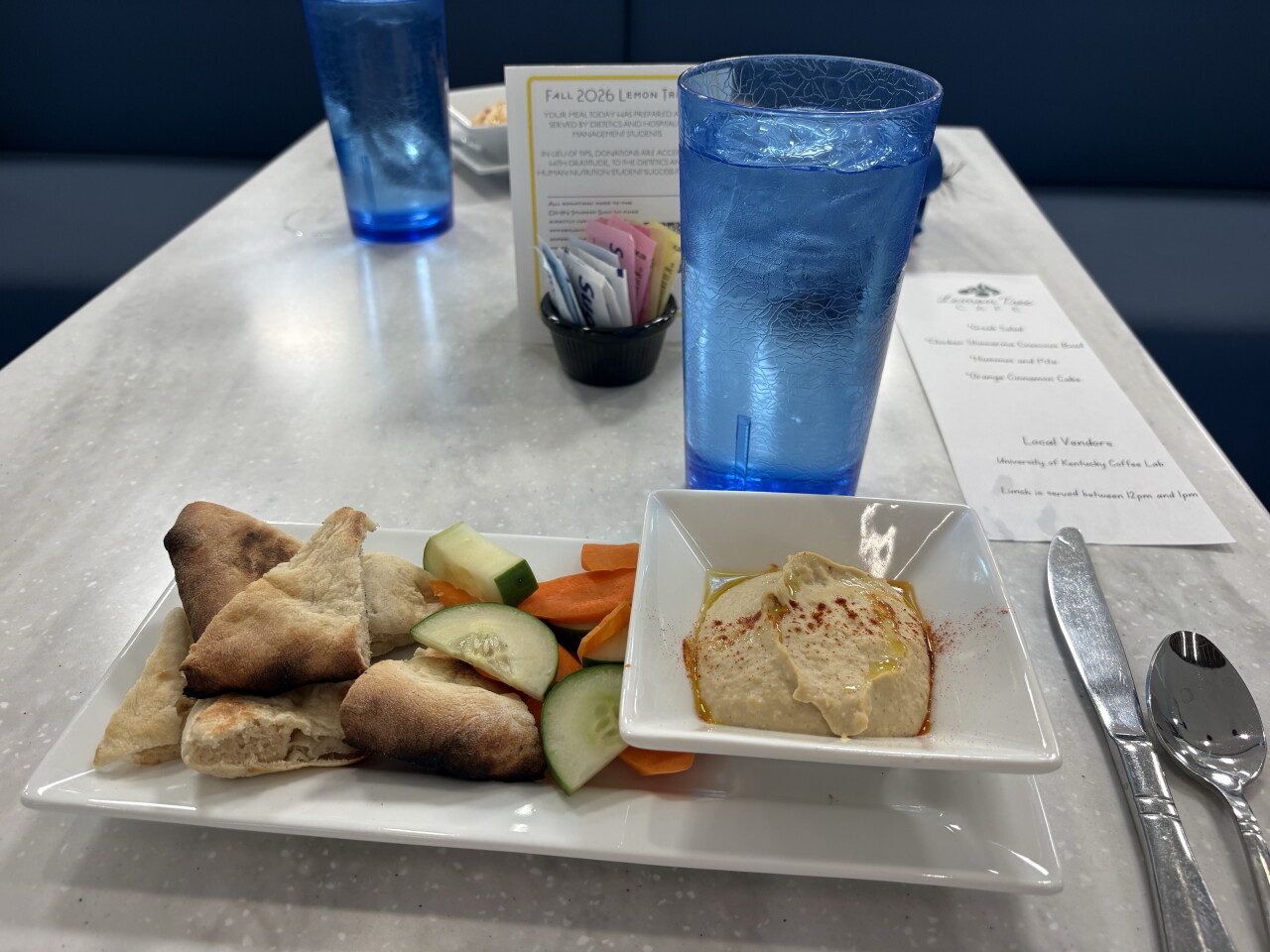 Hummus and pita at Lemon Tree Cafe