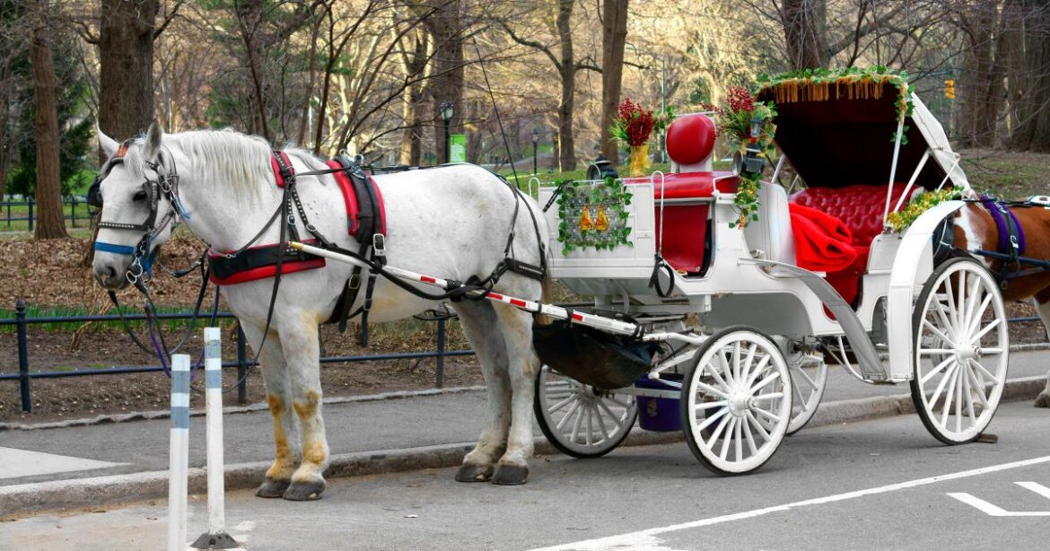 NYC Council Votes to Ban Central Park Horse Carriages as Union Threatens Lawsuit NYC Council Votes to Ban Central Park Horse Carriages as Union Threatens Lawsuit