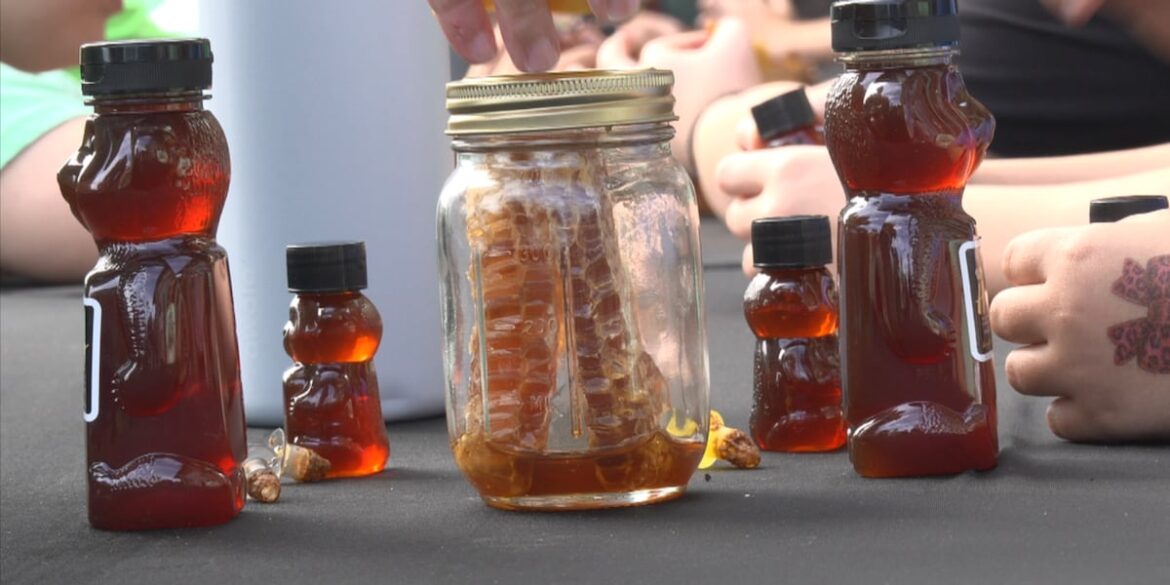 Grand Bear Golf Course shares bees with South Mississippi students Grand Bear Golf Course shares bees with South Mississippi students