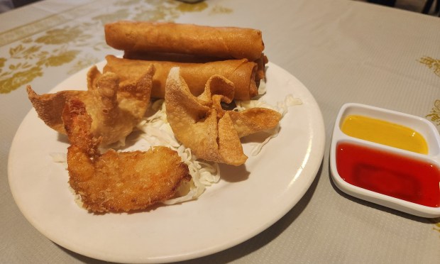 Appetizer plate with egg rolls, cheese wontons and fried shrimp.