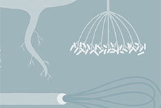 Alex Delicata's Dry Cure For Smoked Fish