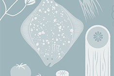 Chickpea-And-Basmati-Rice Salad With Toasted-Sesame-Seed Vinaigrette