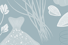 Crab Salad With Cilantro, Tarragon and Grapefruit