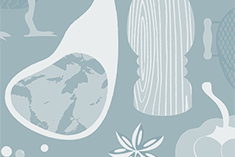 Fillets of Shad Stuffed With Swiss Chard