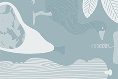 Lamb stuffed with Oysters