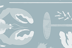 Pepper and Snow Pea Salad