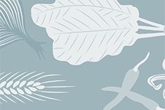 Phillip Schulz's Brine Cure For Smoked Bluefish