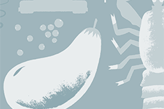 Pork Chops Baked With Apples And Onions