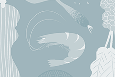 Red Snapper (Bloody Mary)