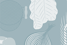 Seared Tuna Salad With Anchovy Tomato Sauce