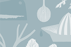 Zucchini With Shallots