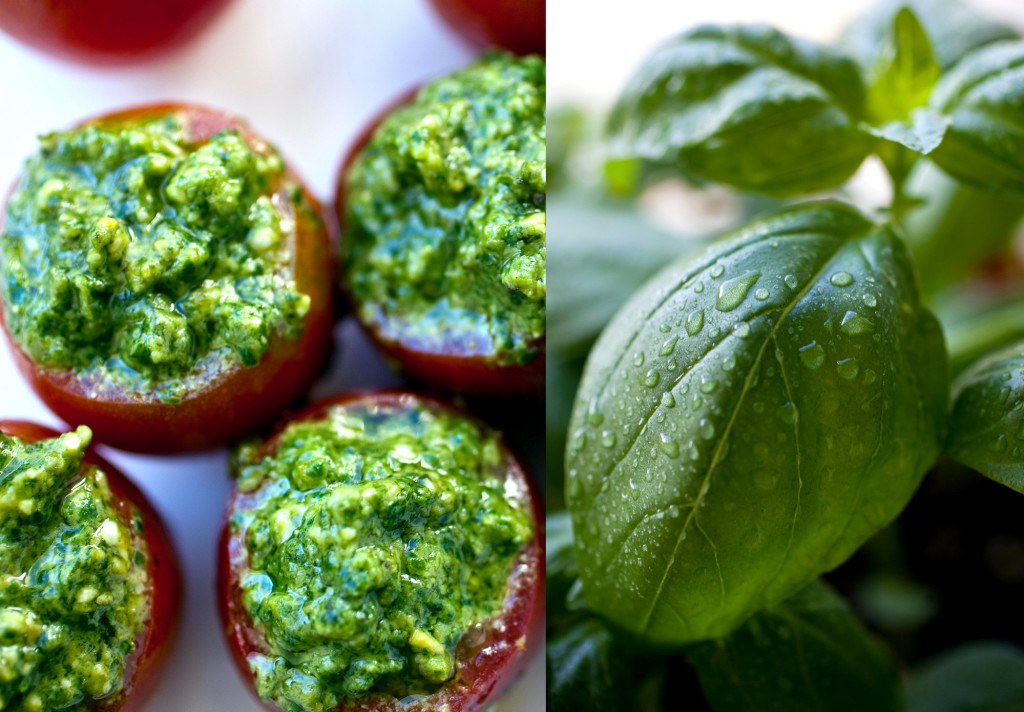 Cherry Tomatoes Stuffed With Pesto