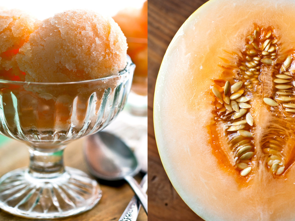 Melon Sorbet