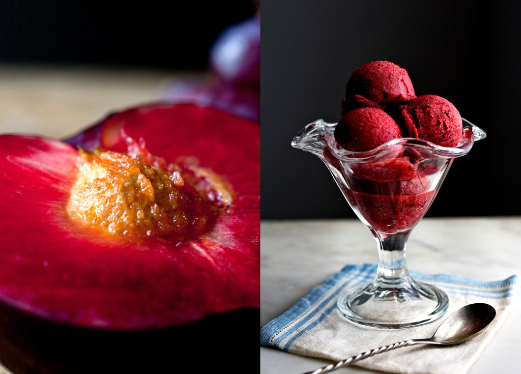 Plum Sorbet or Granita