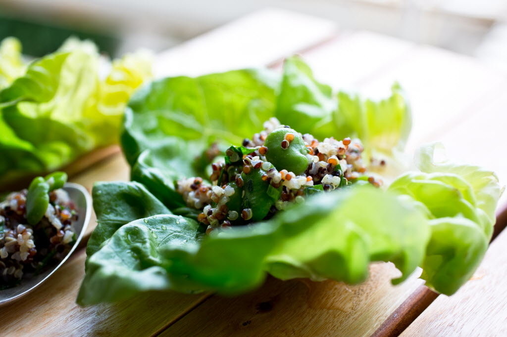 Rainbow Quinoa Salad With Fava Beans and Herbs