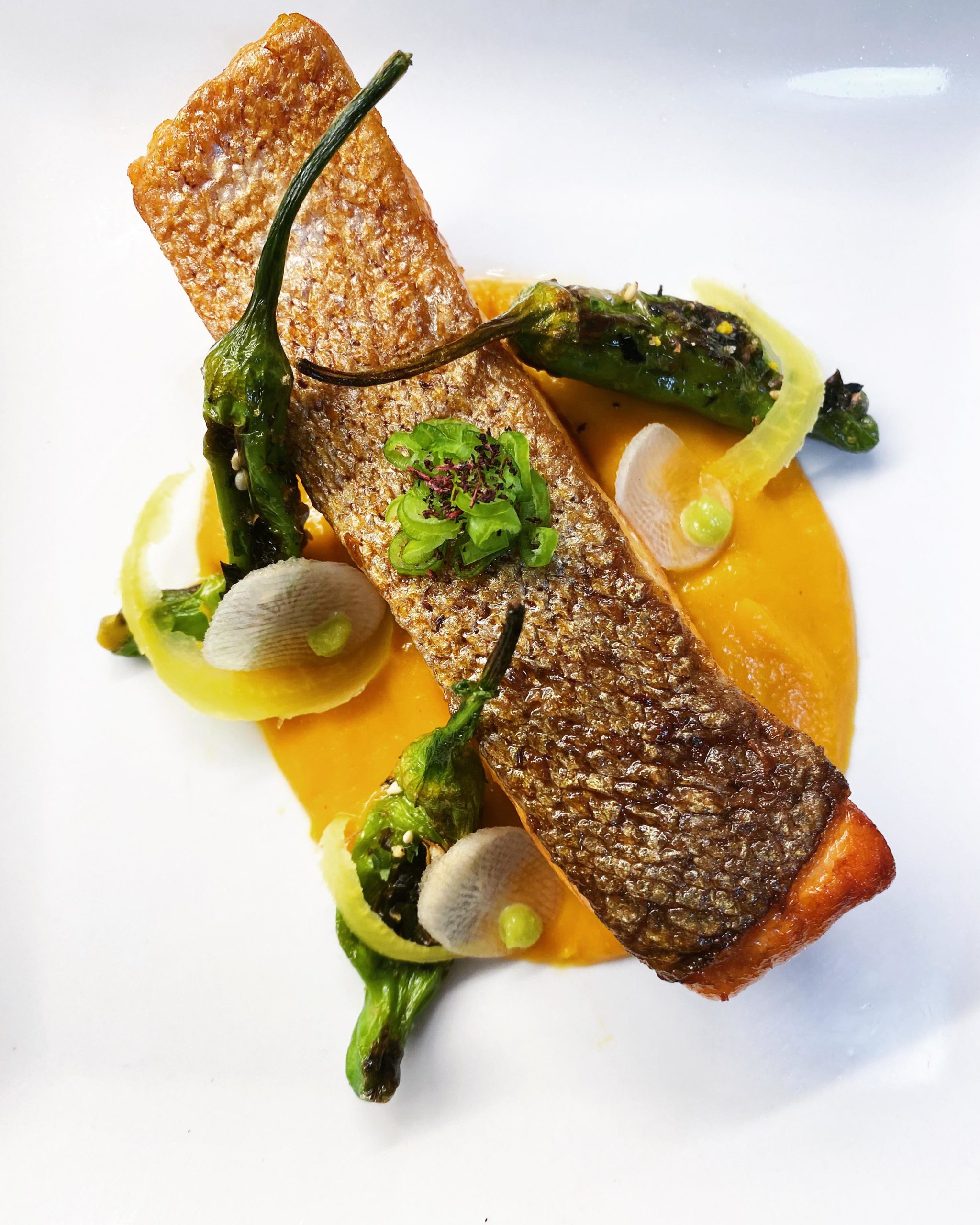 [450 cal] steelhead trout + kakejiru sweet potato purée + blistered