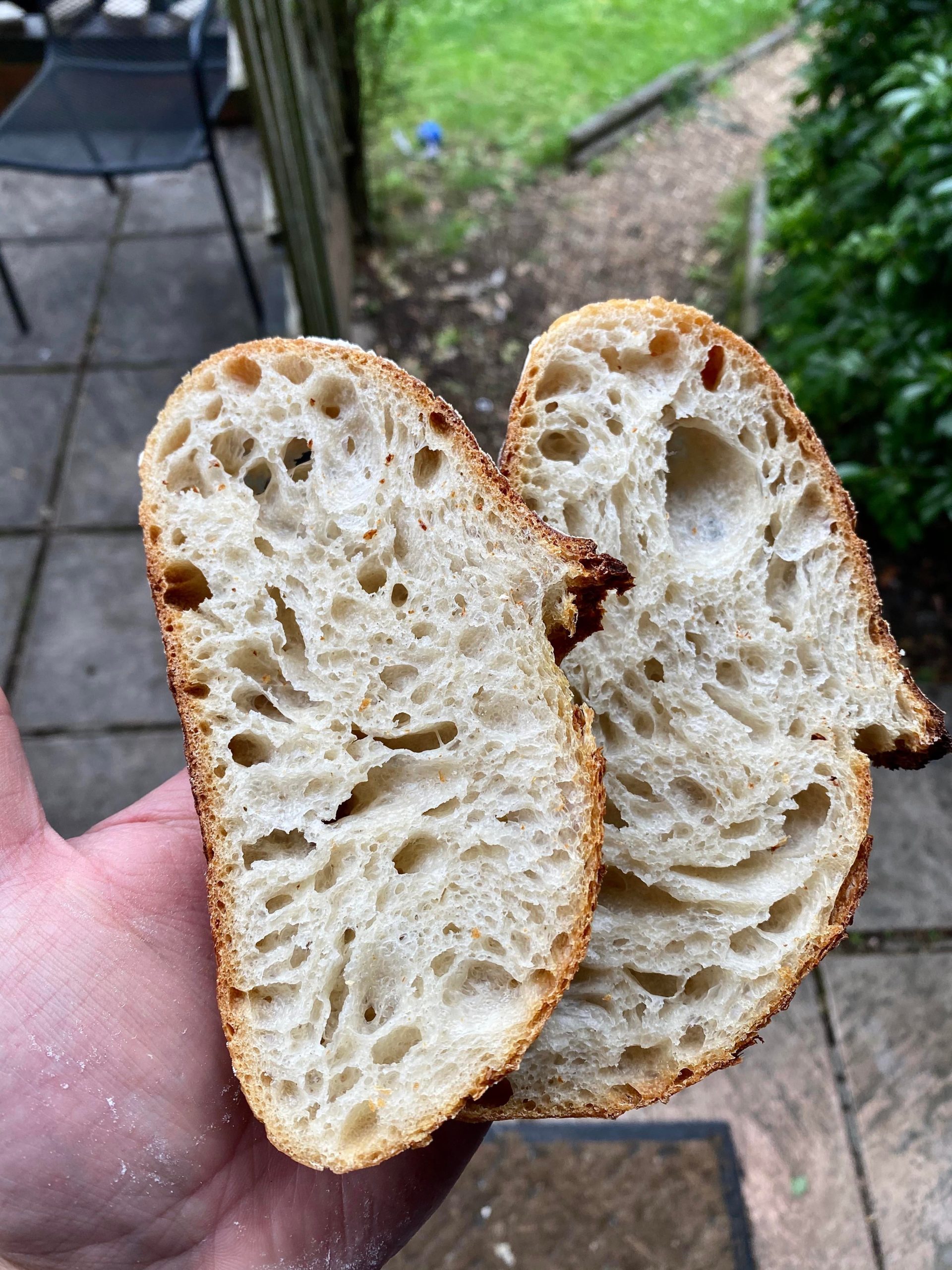 Crumb shot from a miniature(ish) sourdough batard baked this morning