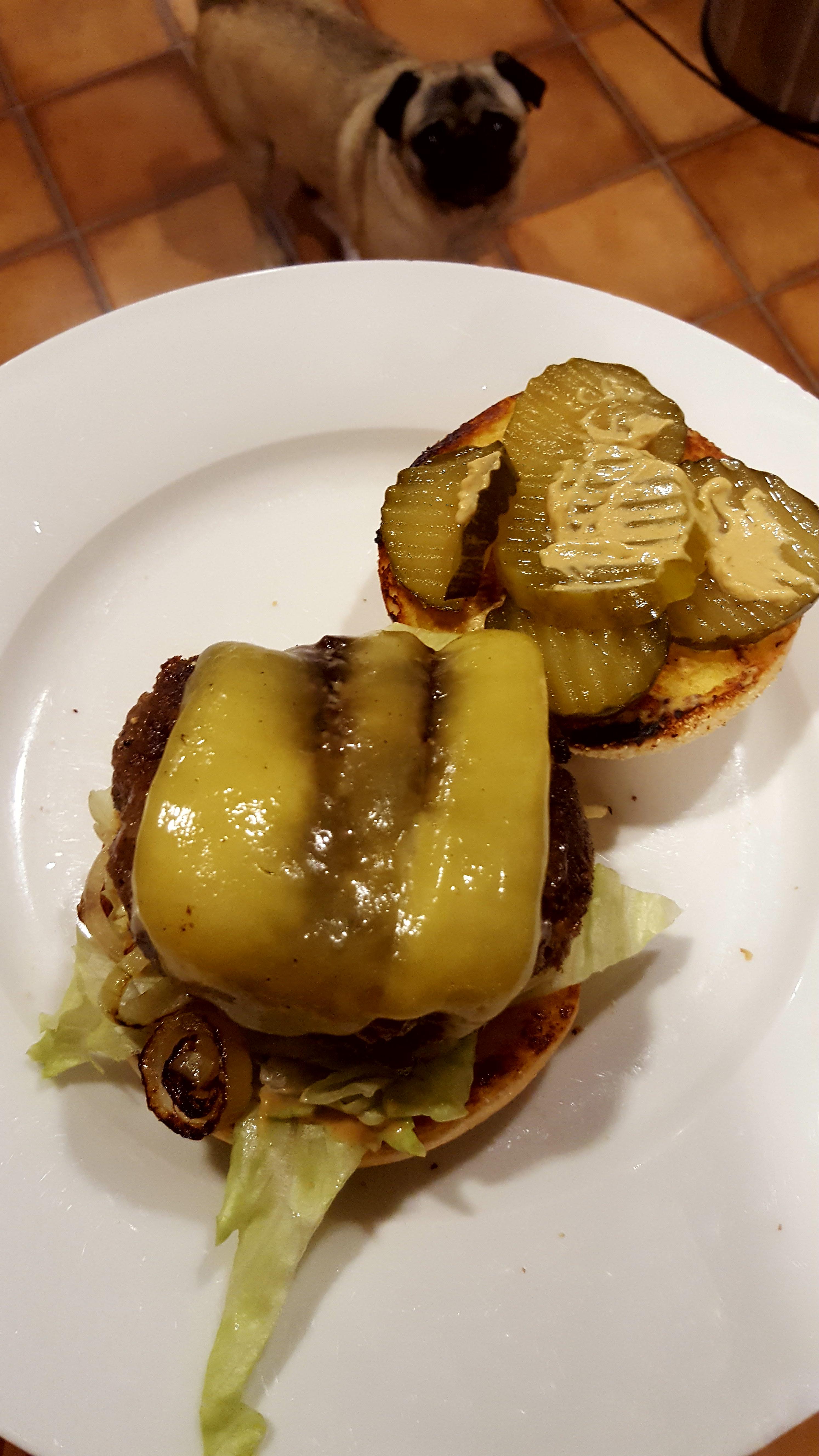 Homemade beef burgers with extra pickles and cheese (jealous pug not to