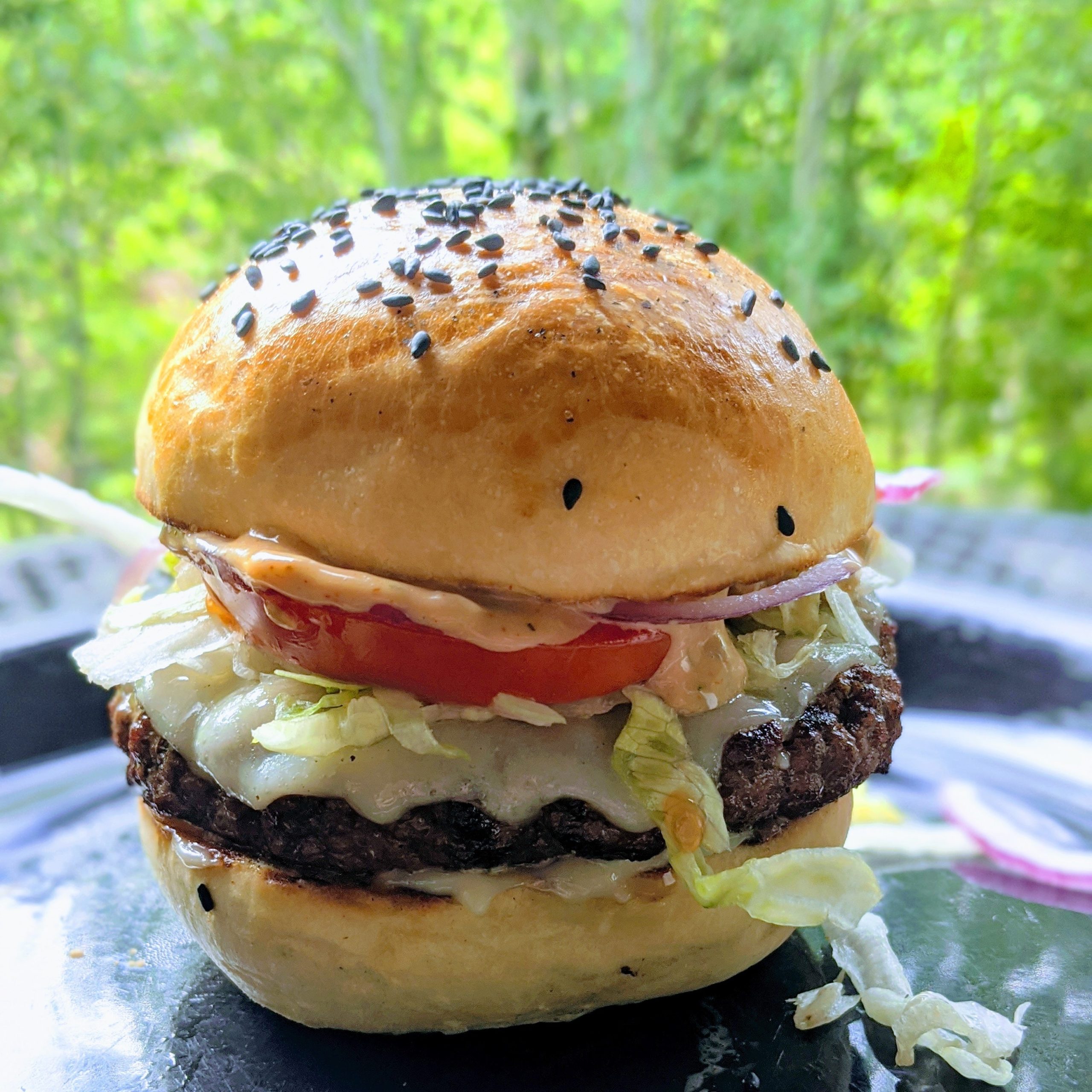 [homemade] cheese burger on a sourdough brioche bun with pub sauce