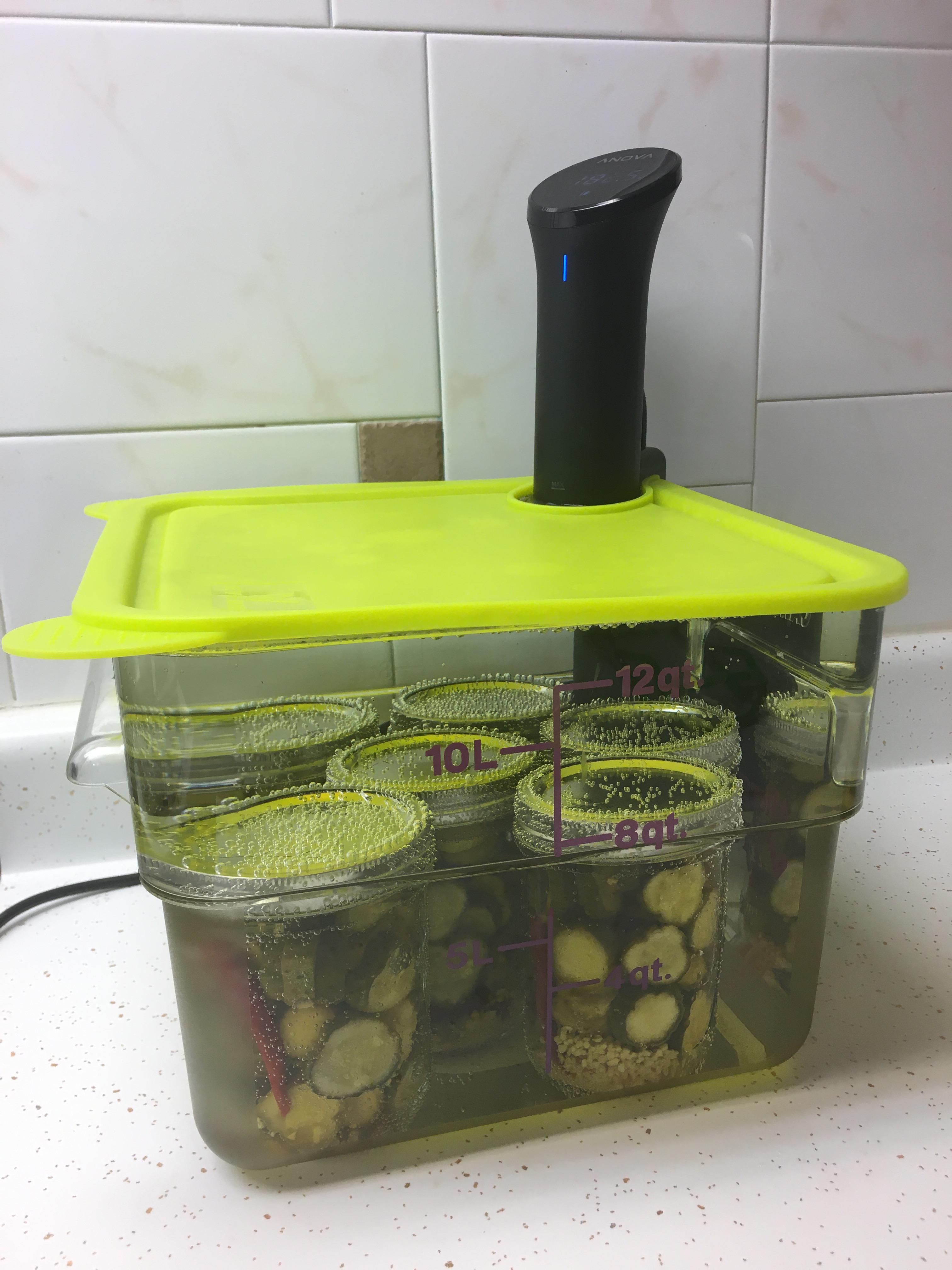 Low temp pasteurization using a sous vide machine. Dining and Cooking