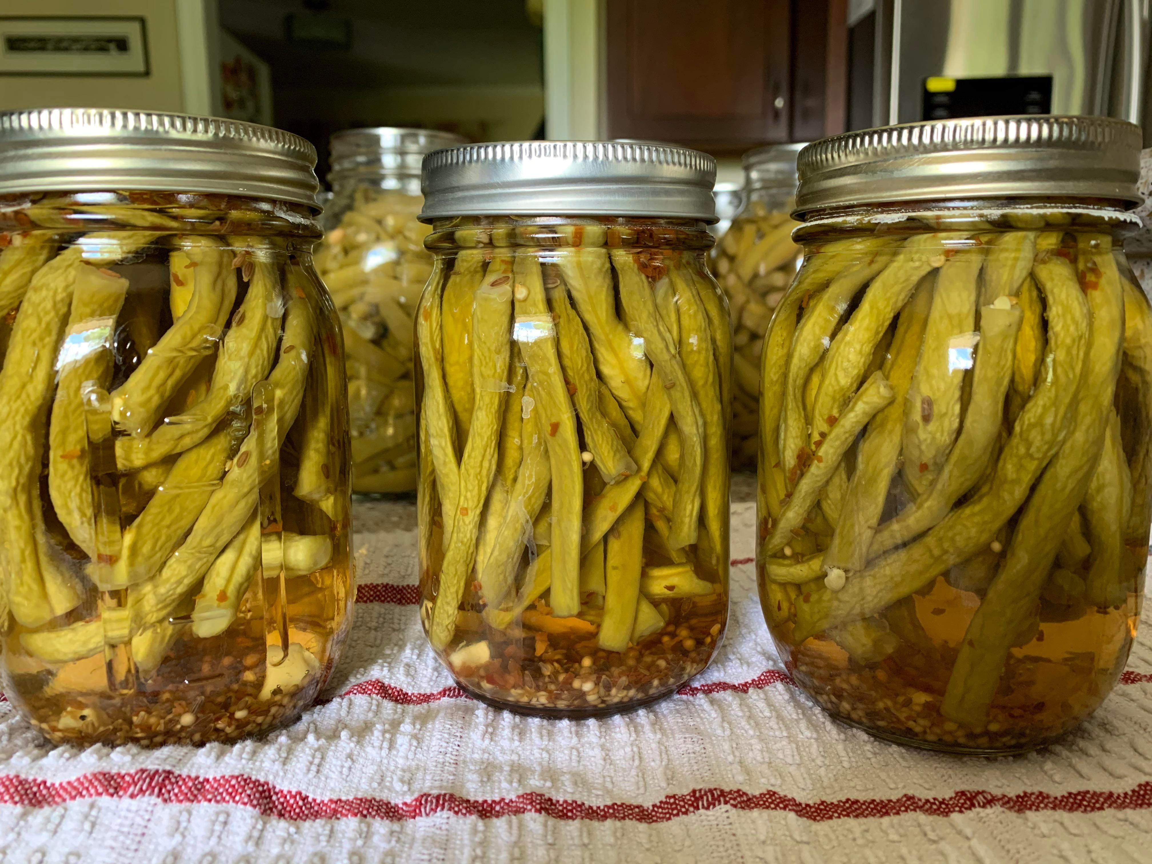Wrinkly dilly beans. First time ever making them. Made second batch