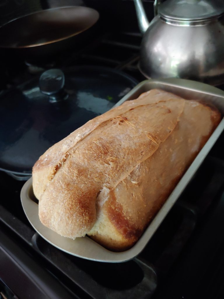 I baked a... Blob fish?