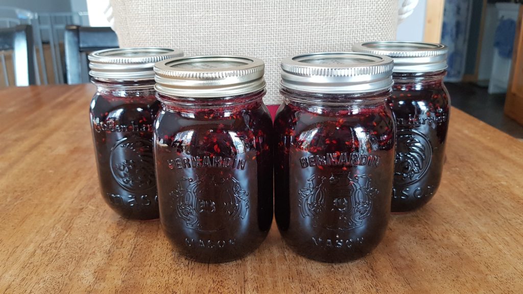 Saskatoon berry jam made with berries from our own yard.
