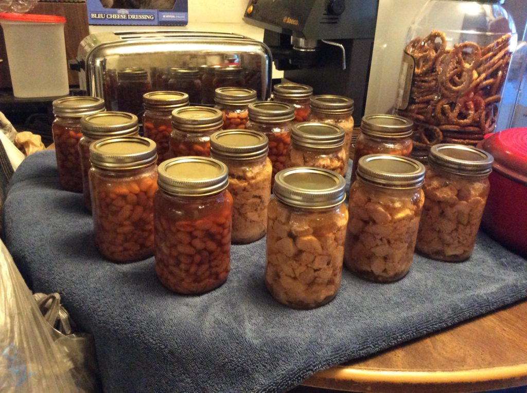 Canned pork butt and pinto beans.