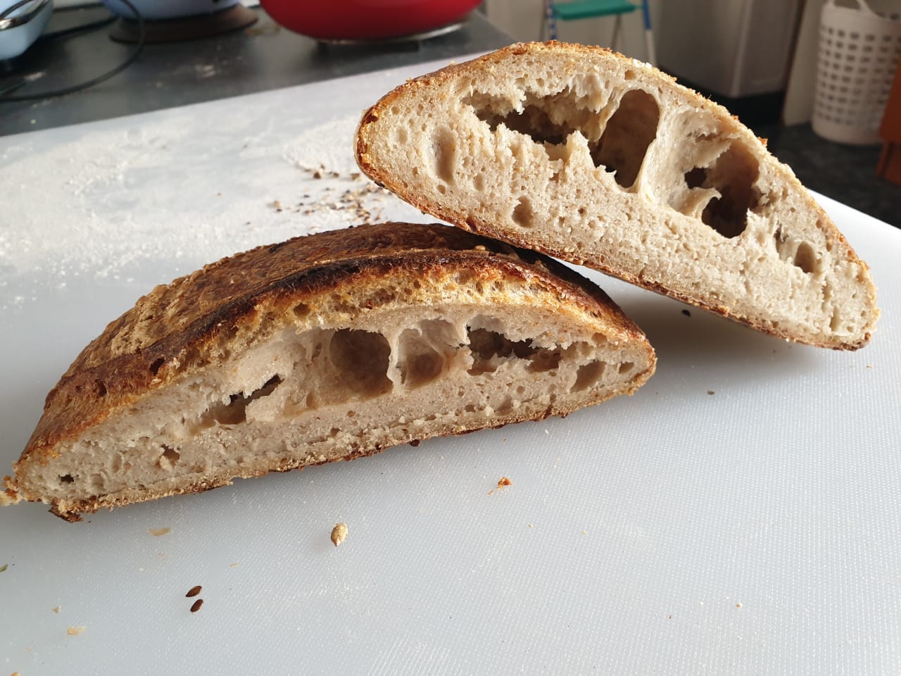Need help! First attempt at Sourdough and it has big holes and dense