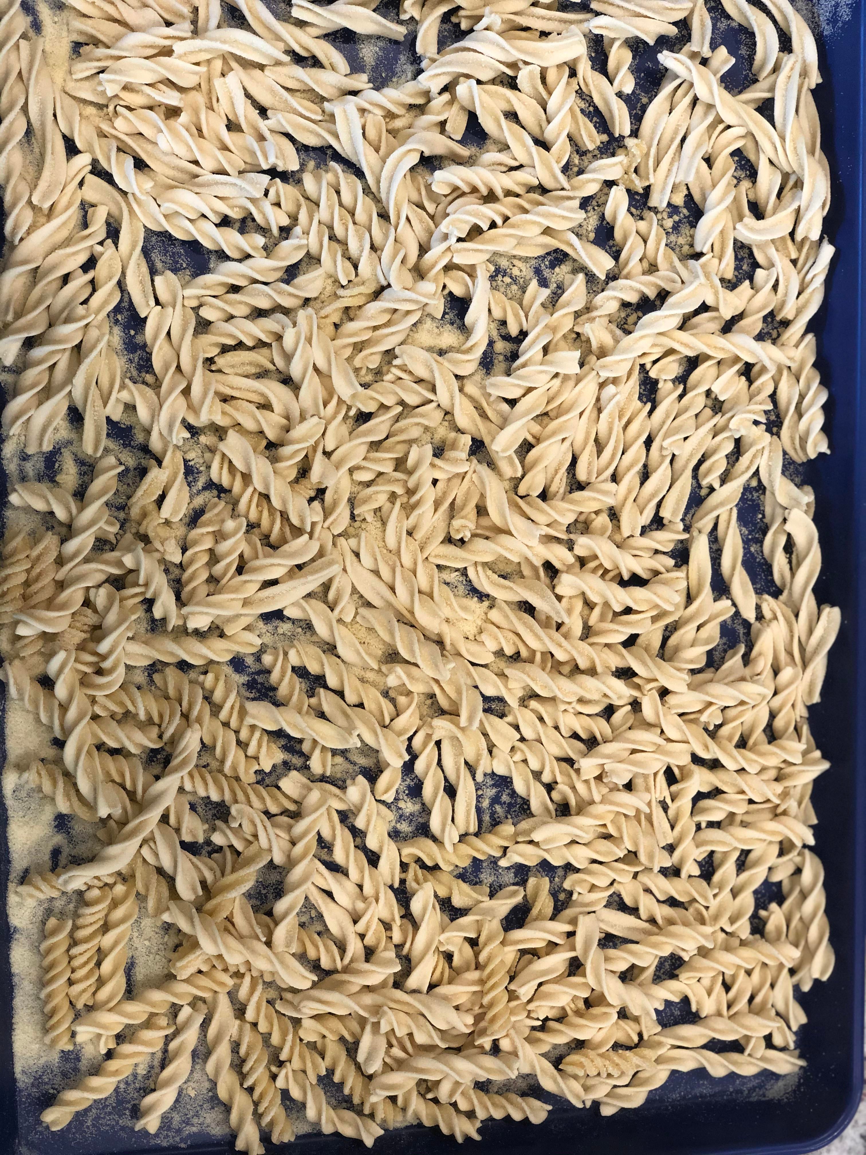 i can’t stop extruding pasta! finally have semolina back in stock at