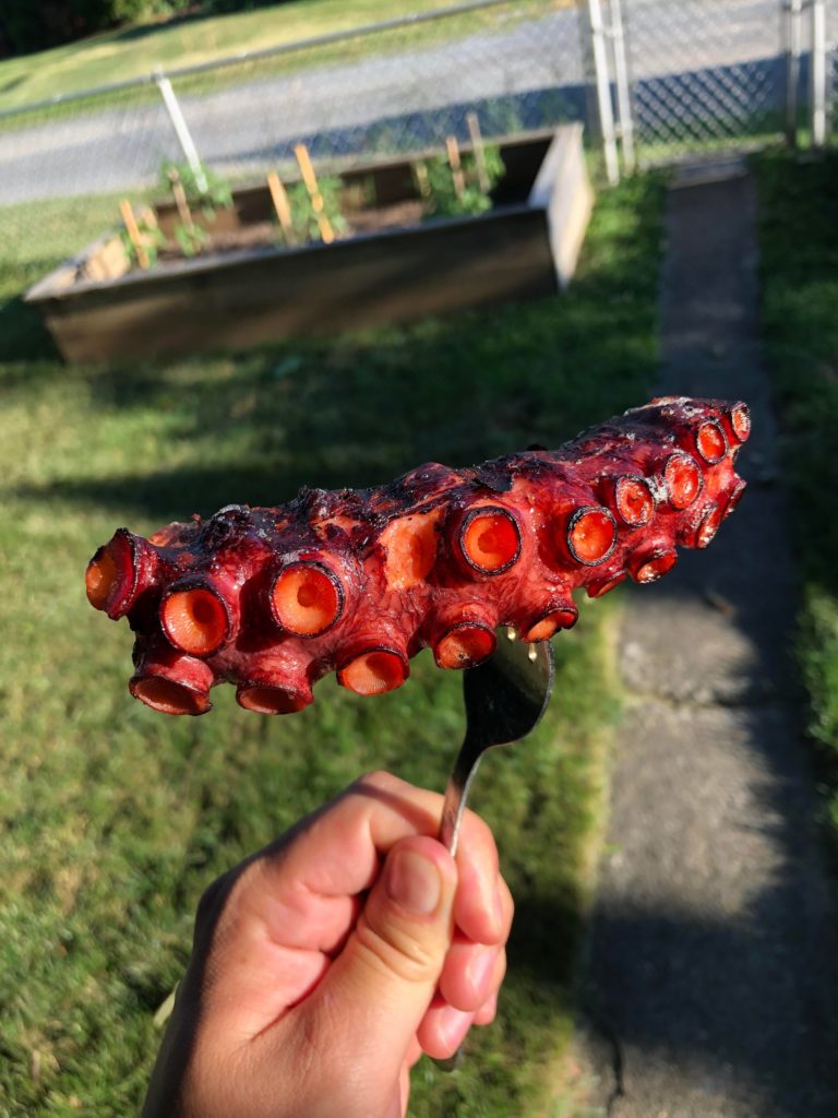 Alaskan Octopus (SV 175F 5 hours/Grilled)
