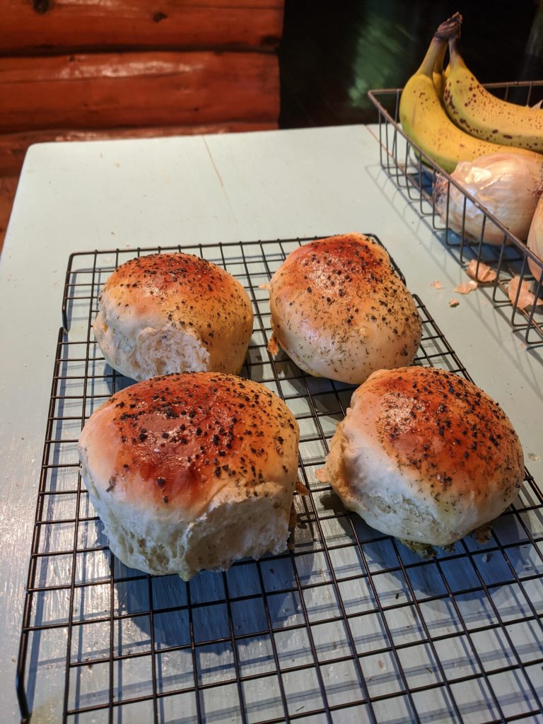 First bread bake in the toaster oven. Burger buns!