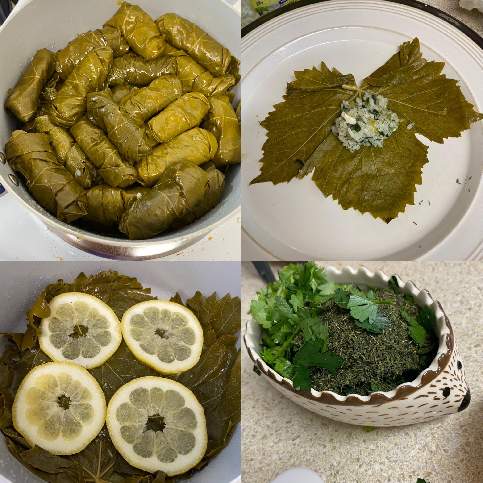 Greek Vegetarian stuffed grape leaves dolmades Dining and Cooking