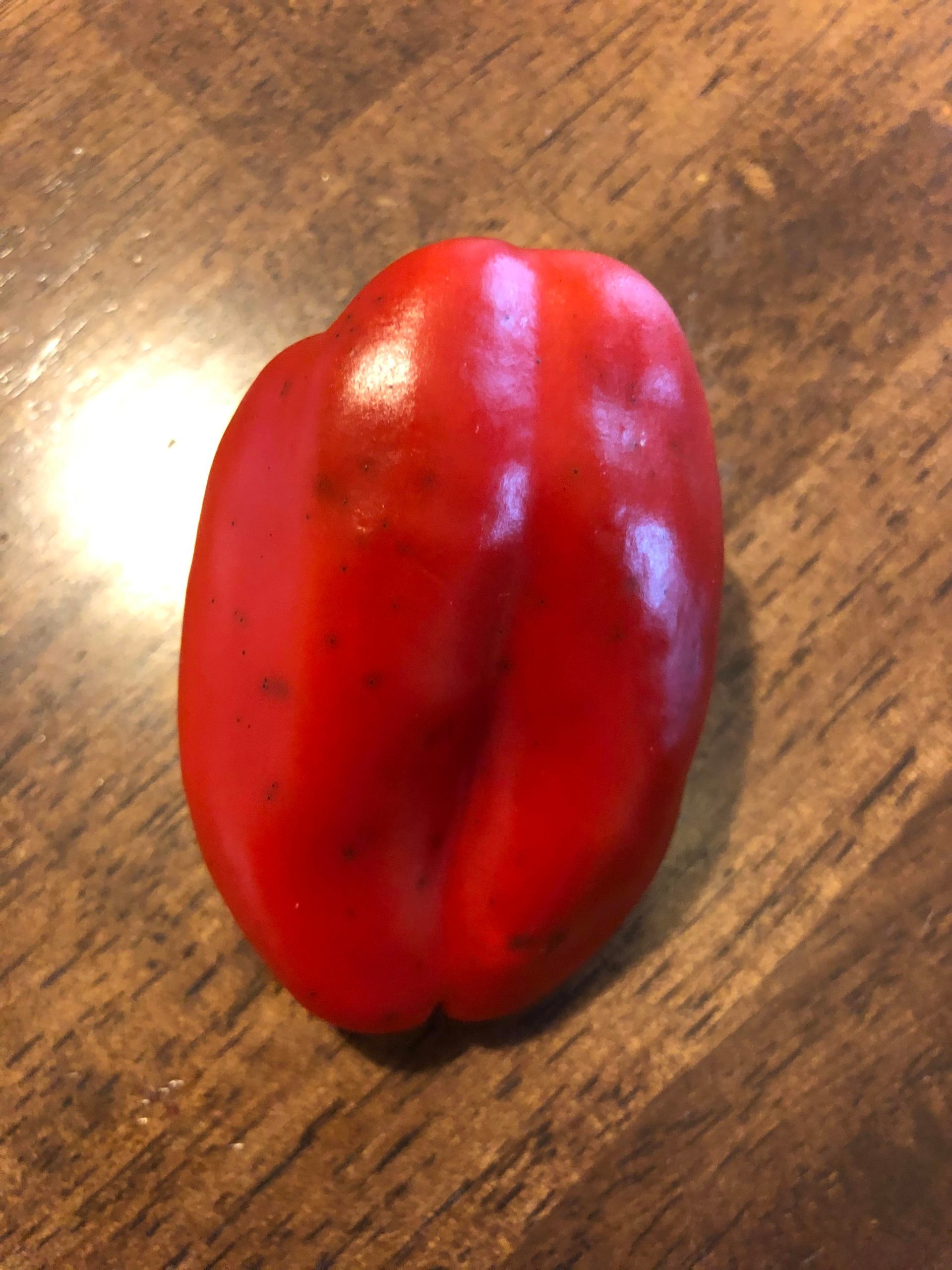 is-this-pepper-edible-the-plant-is-having-fungus-issues-so-i-m