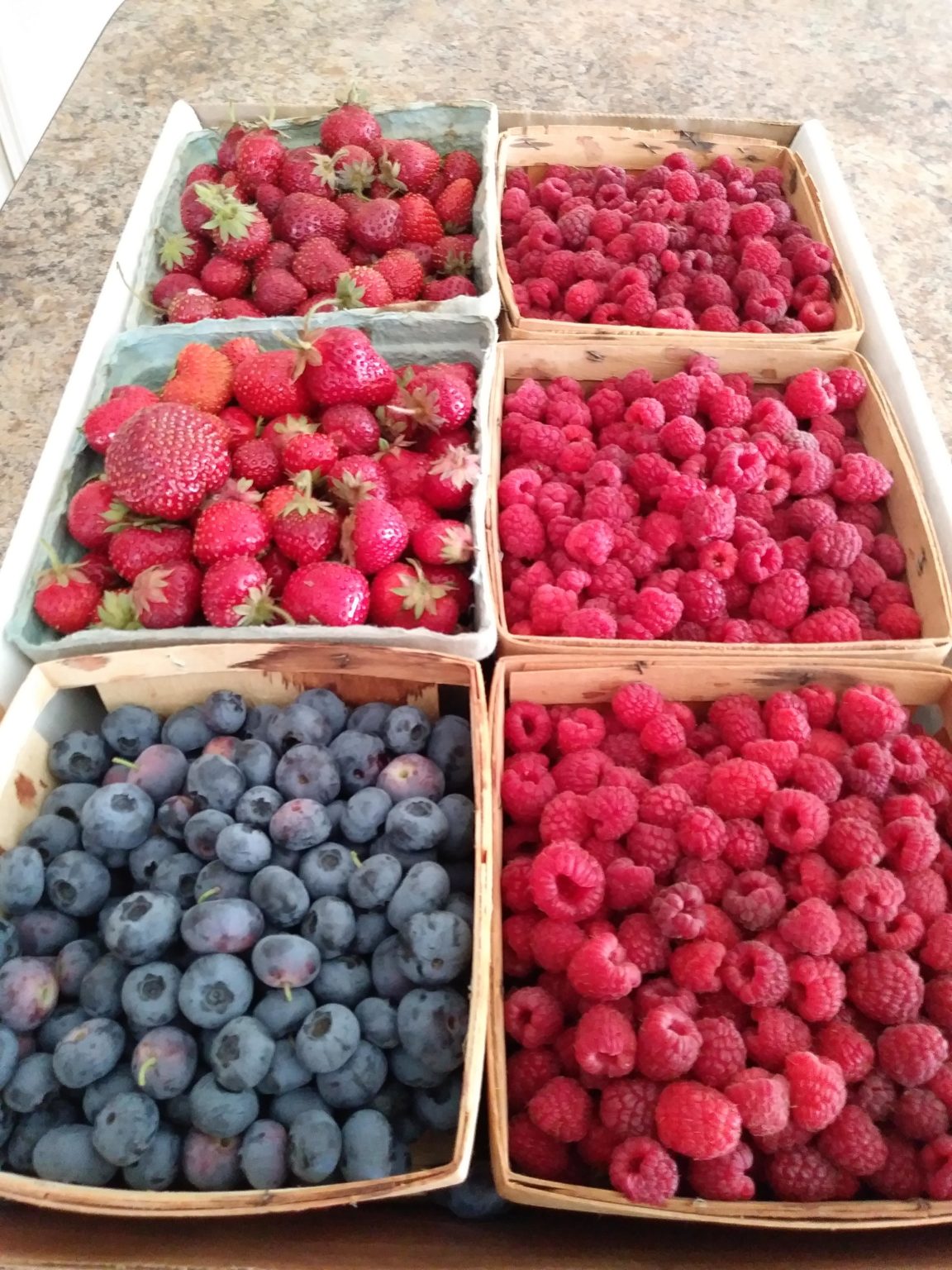 My 2week garlic confit suddenly turned cloudy while at the fridge. Why