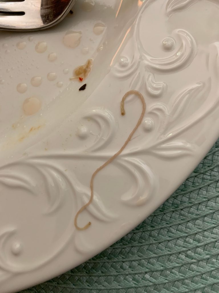 Is this a parasite from my salmon? 128 degrees for 30 minutes. Salmon was frozen, thawed in fridge, then cooked.