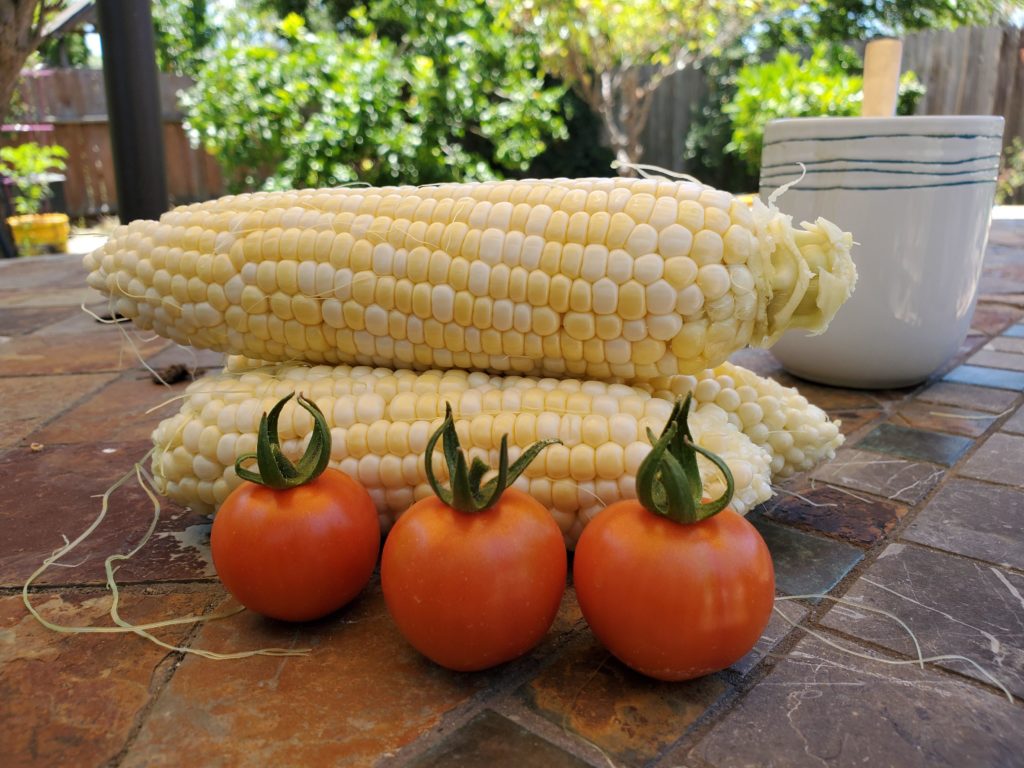 Corn and tomatoes are finally ready.