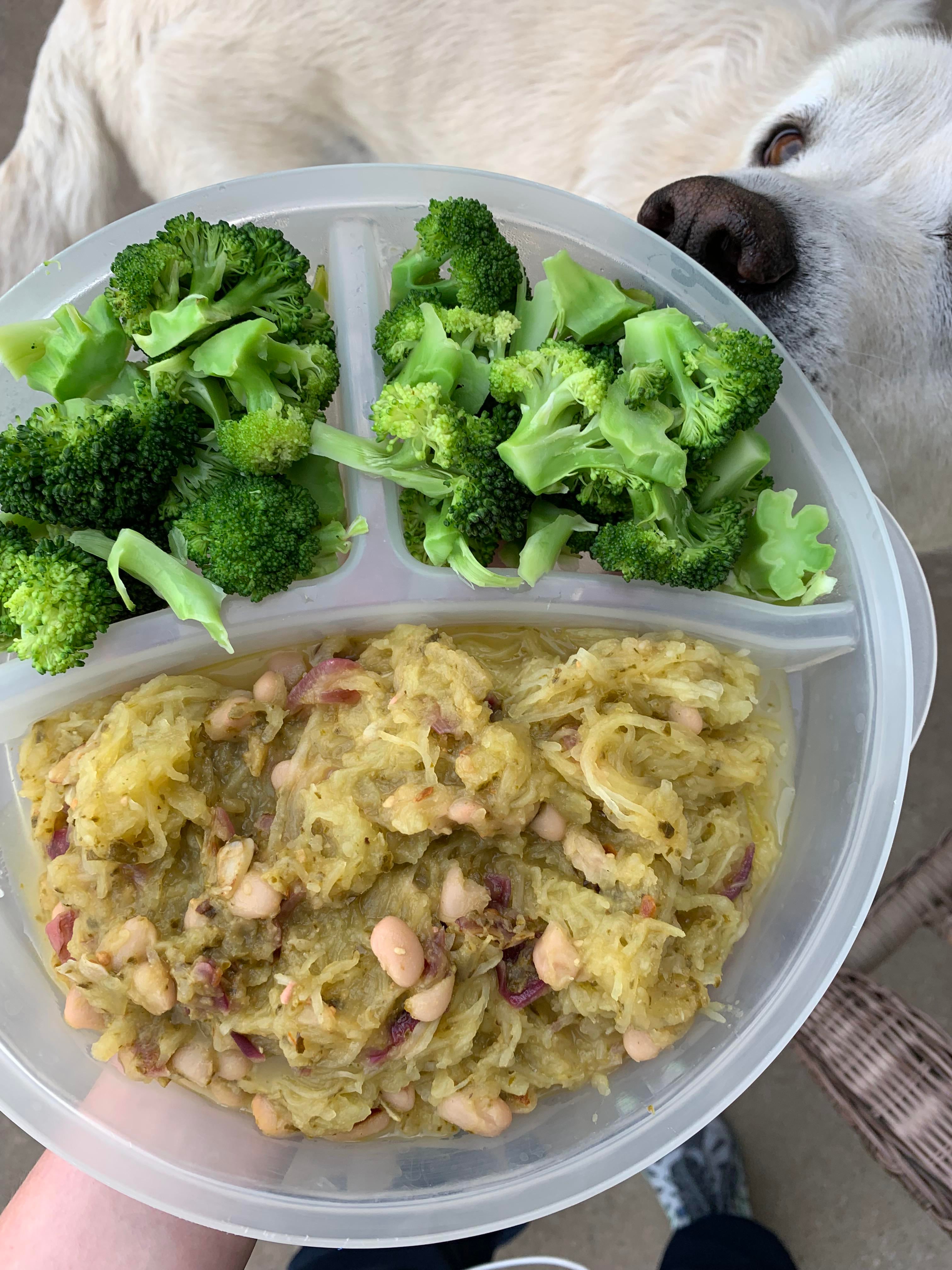 spaghetti squash for dogs