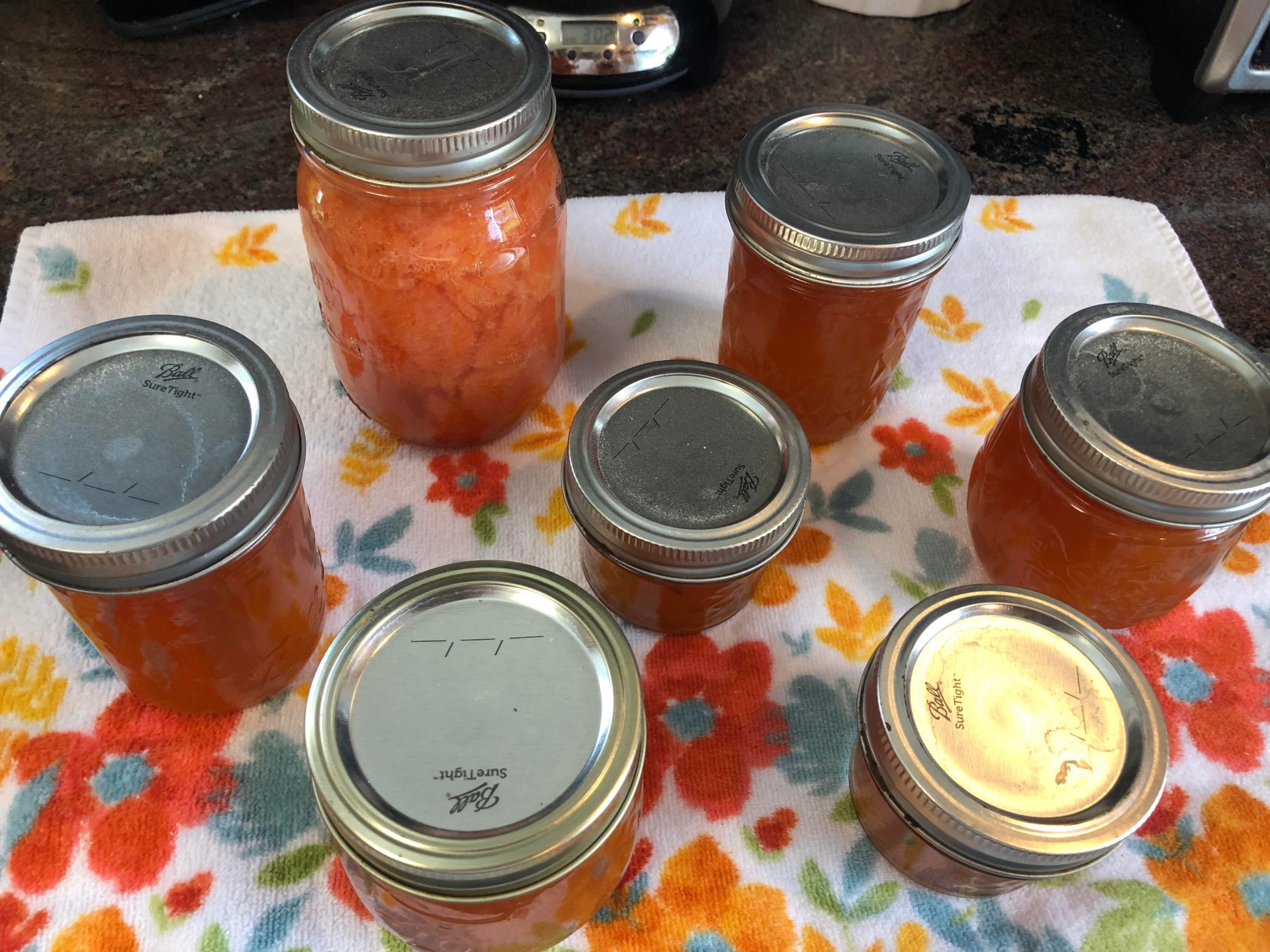 The survivors grapefruit, grapefruit jam, jalapeño grapefruit jam
