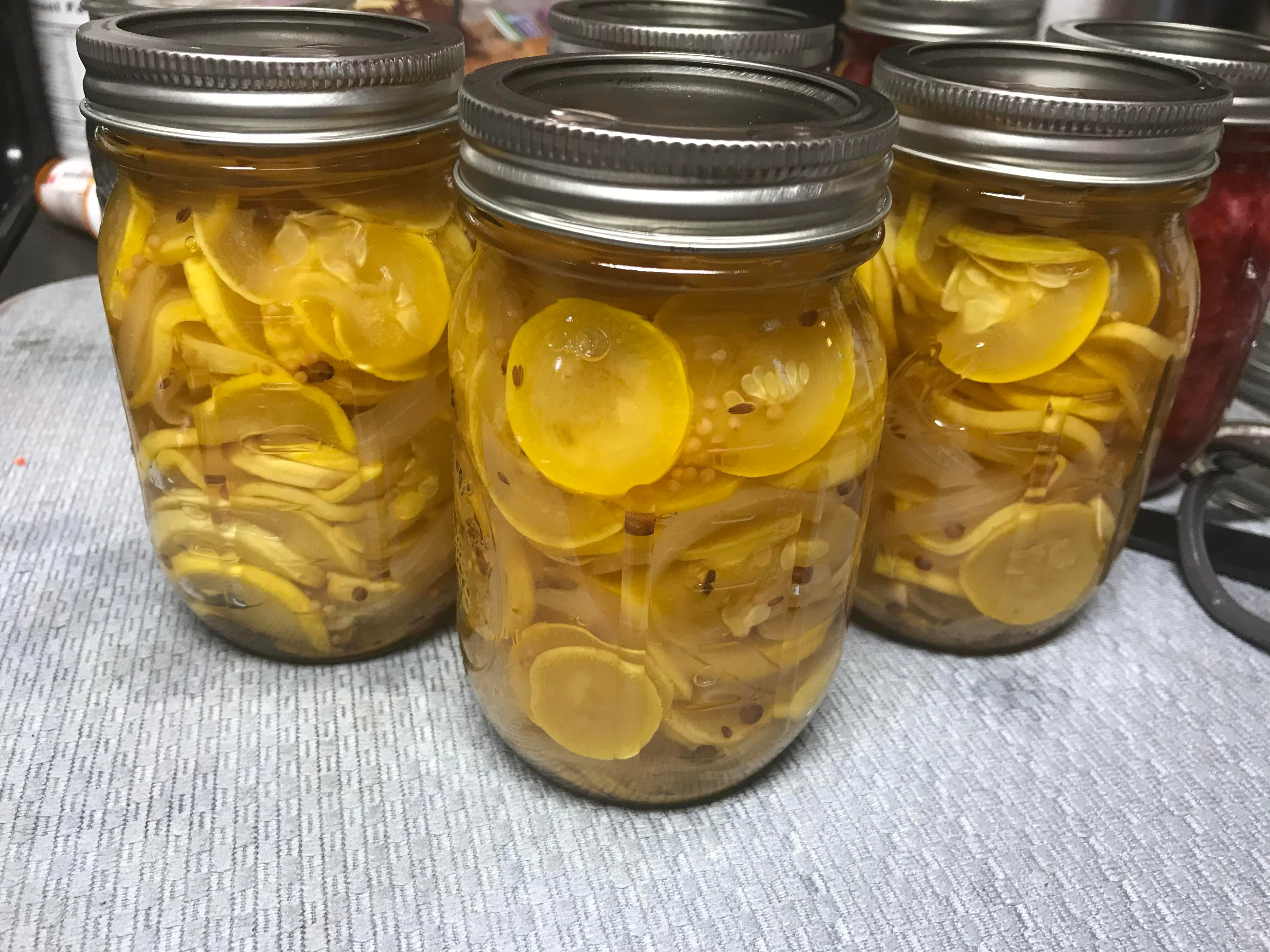 Canned for the first time ever yesterday. I pickled cucumbers, onions and squash! Dining and