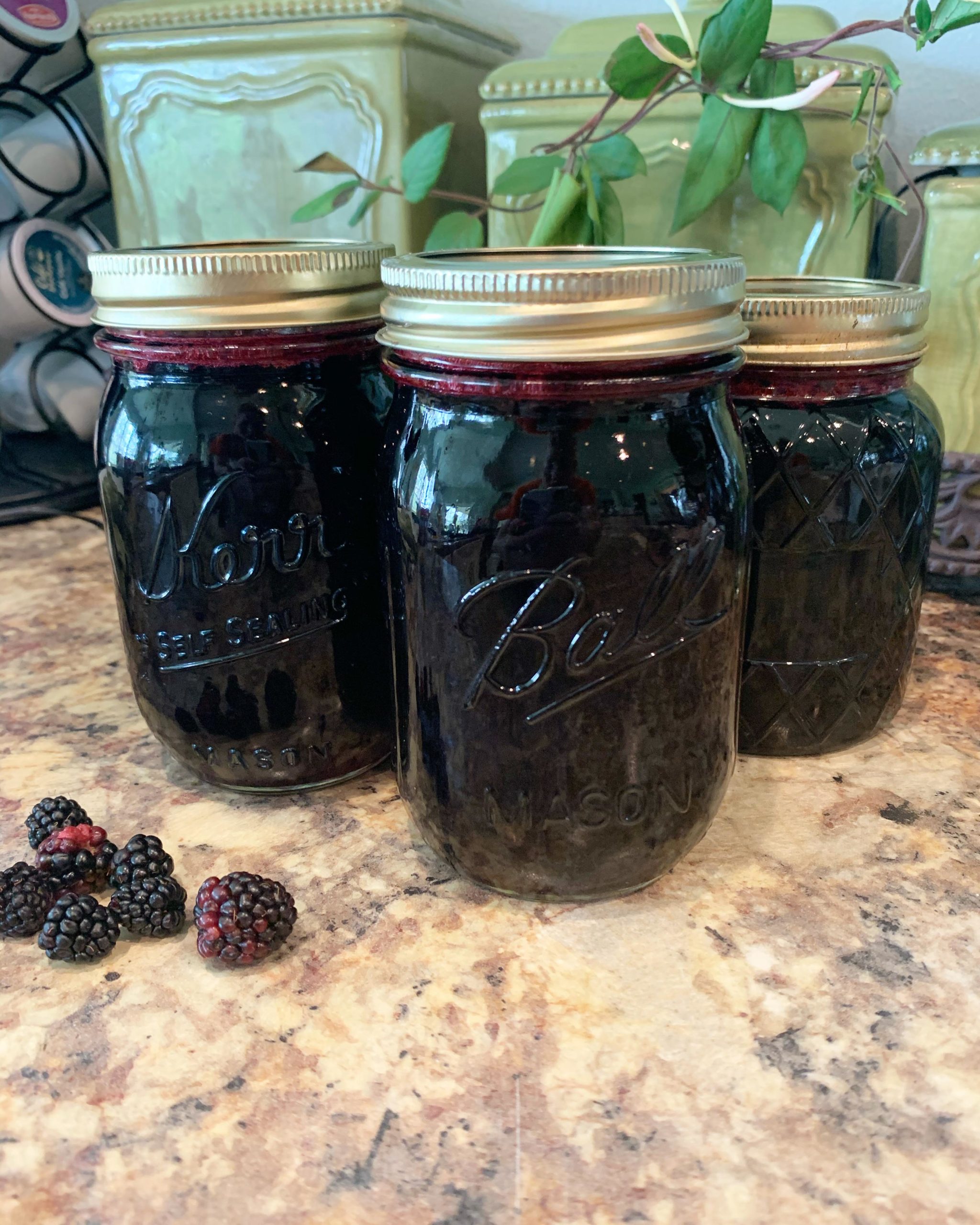 Dewberry jelly with fresh picked Louisiana dewberries! It’s SCRUMPTIOUS