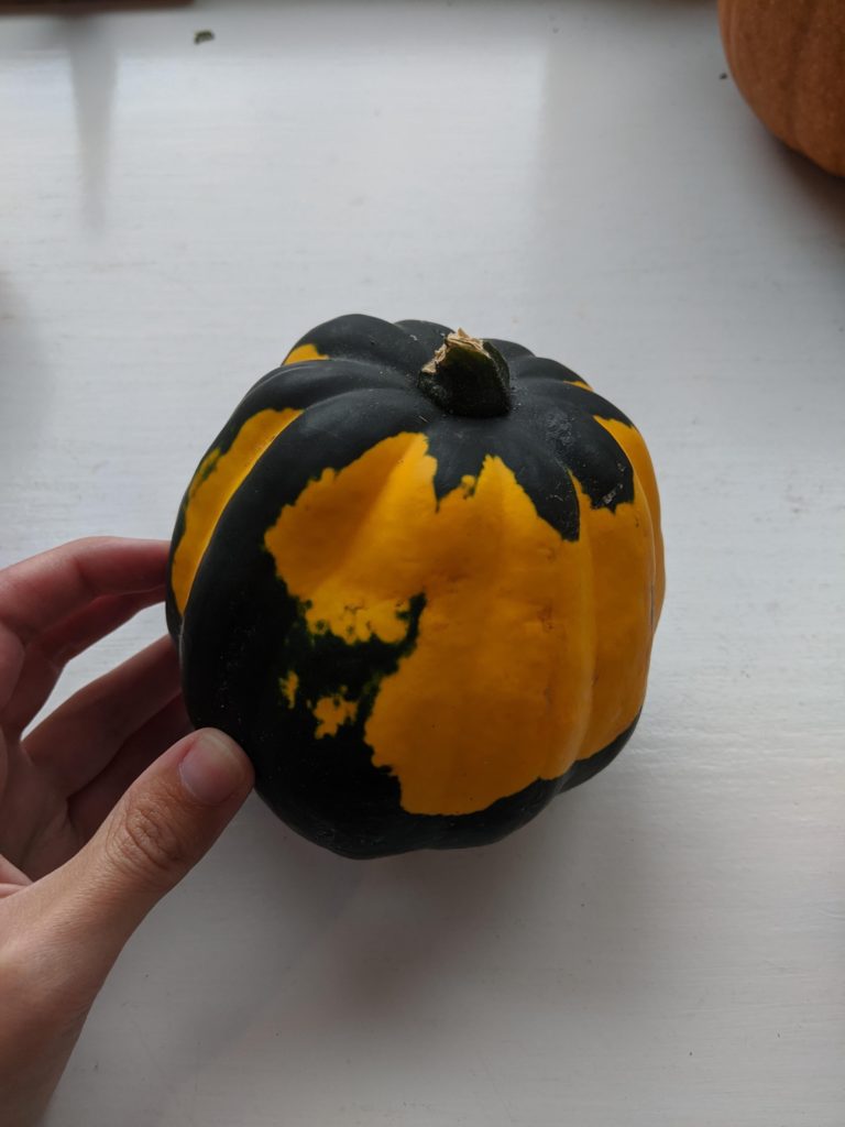 Does anyone know what type of pumpkin/squash/gourd this is? Is it edible?