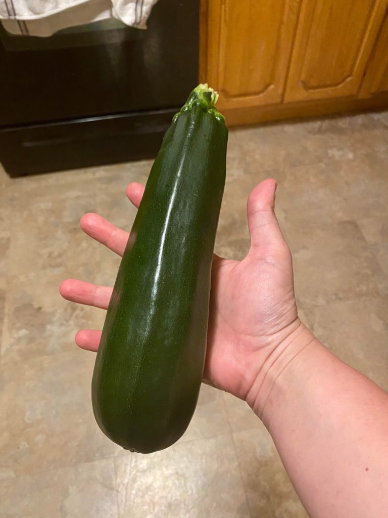 The most “handsome” zucchini I ever grew. I don’t know why, but it’s my cake day so...