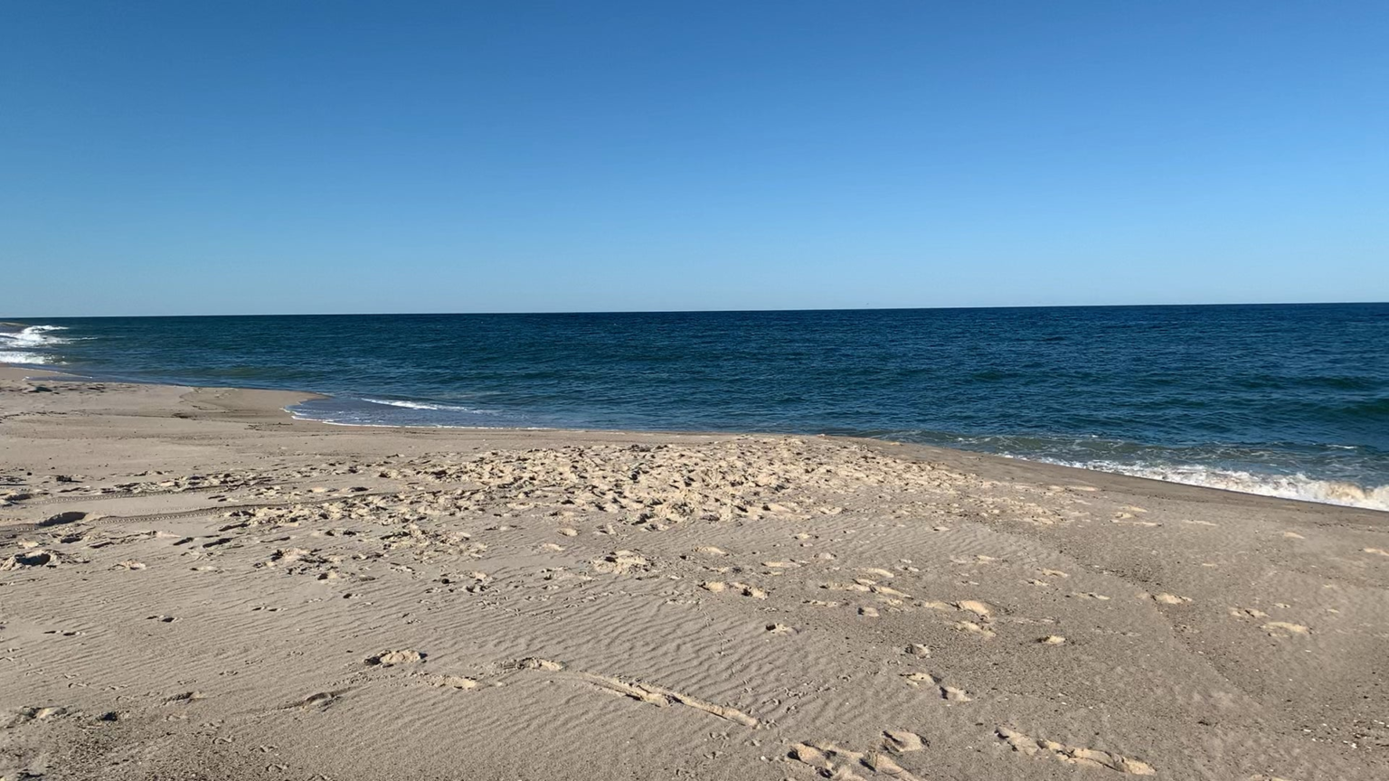 Ribeyes reverse seared basted in butter with a side of morels, freshly