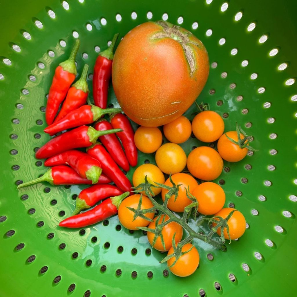 Humble Harvest v.2.0