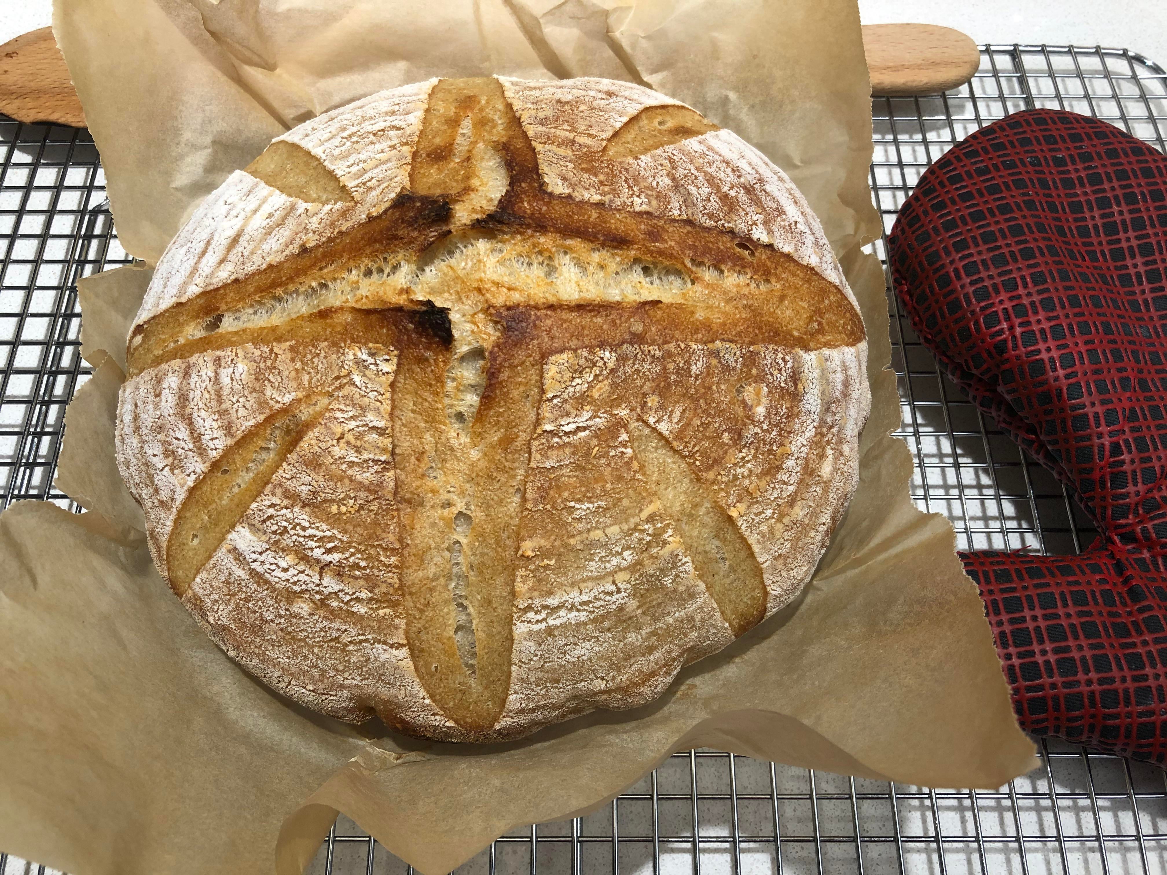 400g Bread flour, 50g spelt, 50g Whole Wheat. 77 hydration. Dining