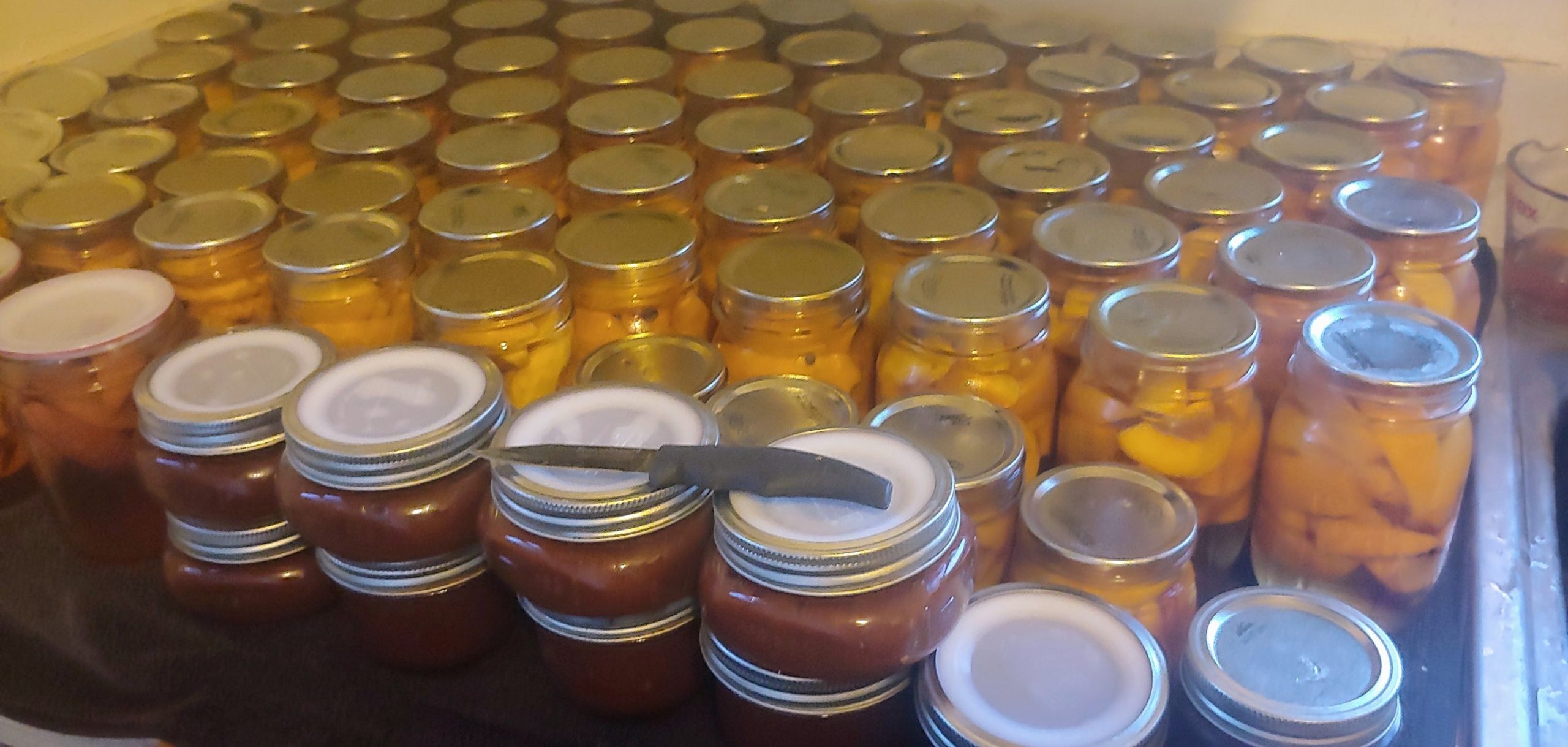 Peaches were on sale for 48¢/lb Dining and Cooking