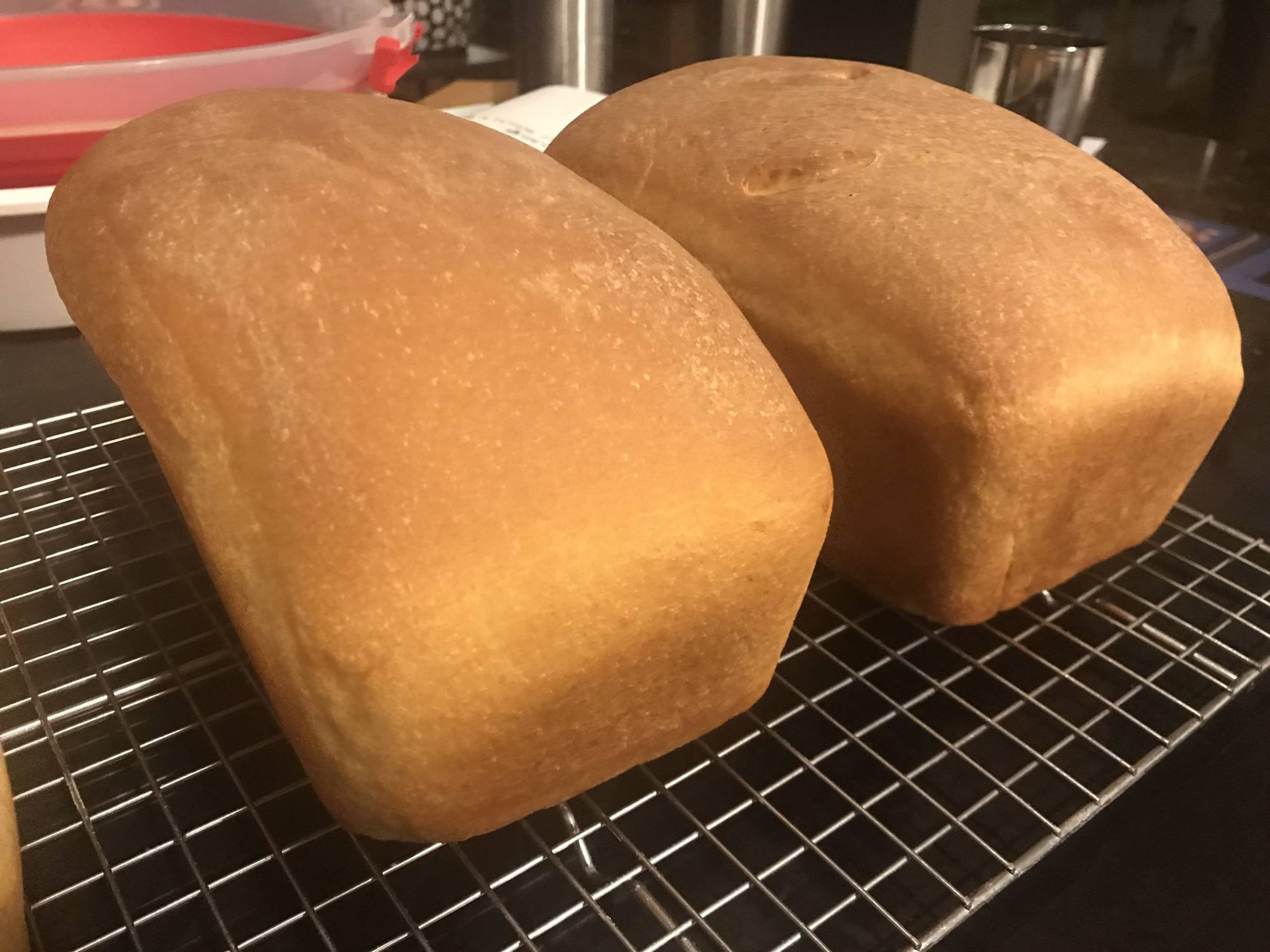 Quick white loaves, if only I had equal sized pans Dining and Cooking