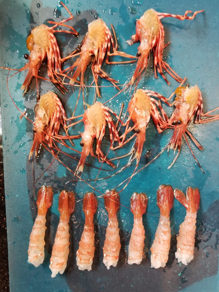 Prepping fresh live amaebi (sweet shrimp)