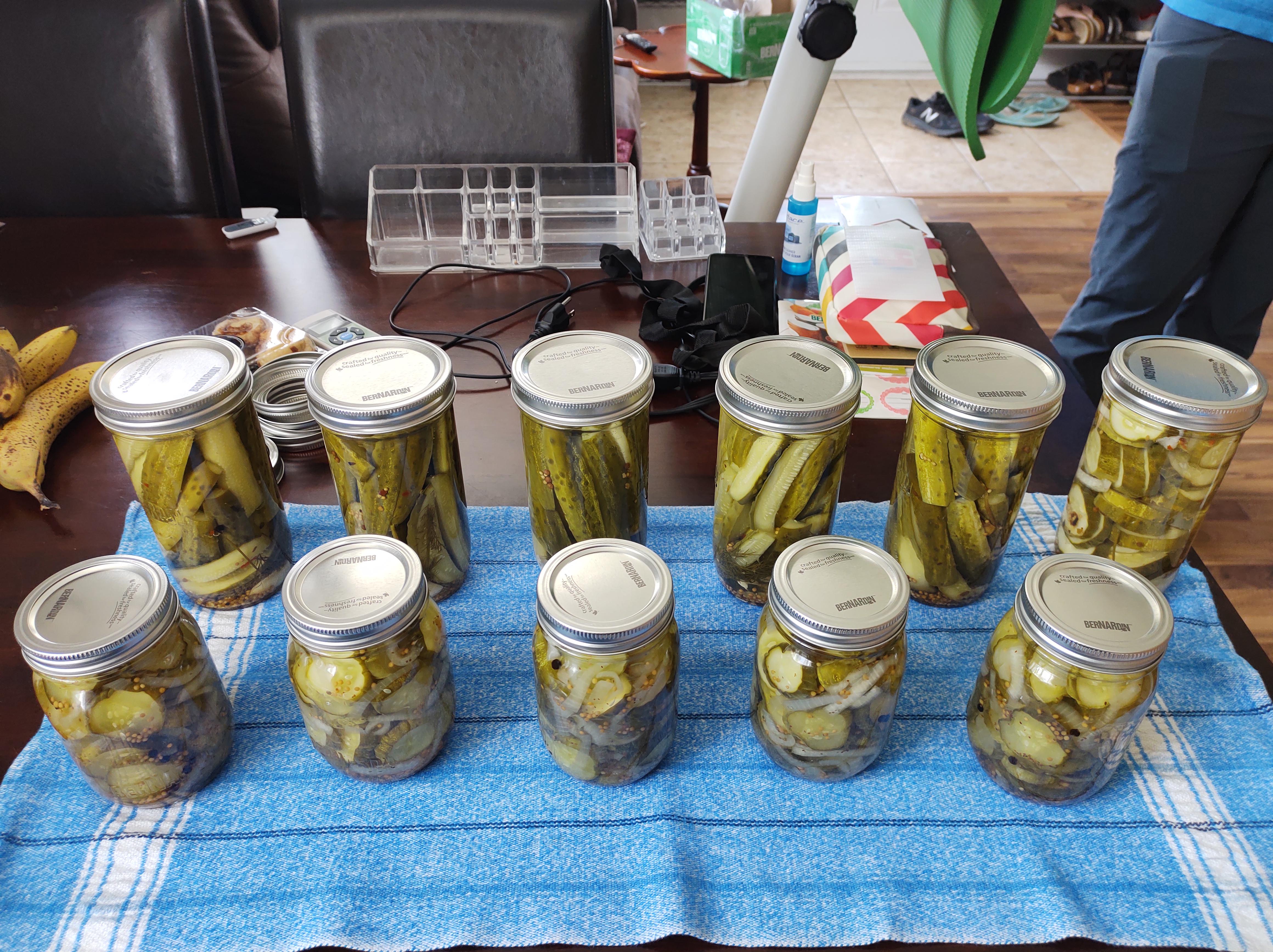 T Was A Cucumber Morning 5 X 750ml Of Garlic Dill Pickle Spears 1 Jar Of Slices And 5 Pints Of Bread And Butter Pickles Dining And Cooking T Was A Cucumber Morning 5 X 750ml Of Garlic Dill Pickle Spears 1 Jar Of Slices And 5 Pints Of Bread And Butter Pickles Dining And Cooking